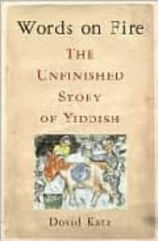 Words Of Fire: The Unfinished Story Ogf Yiddish