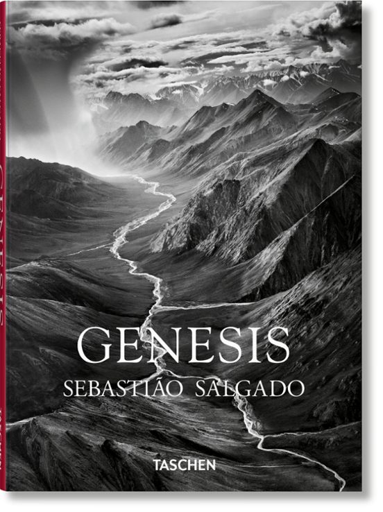 Genesis Salgado