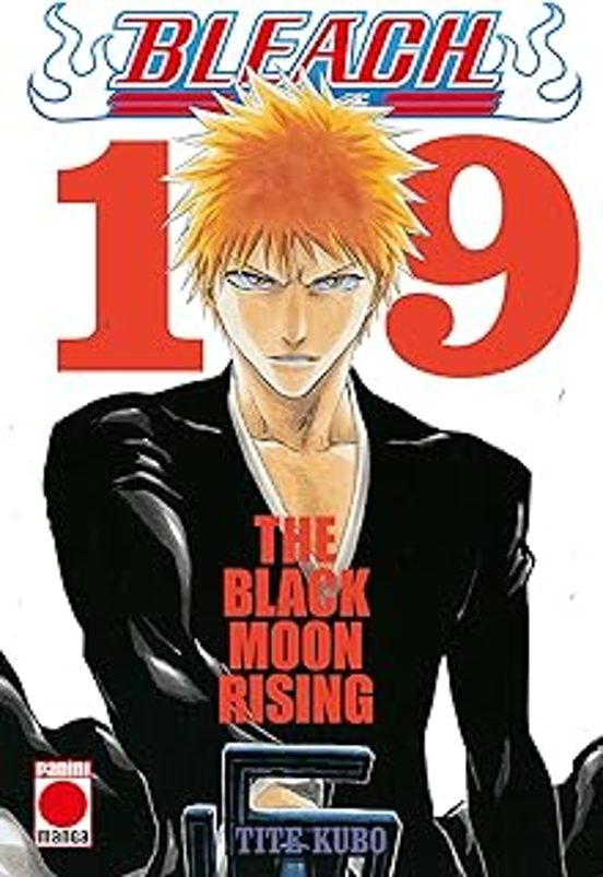 Bleach Bestseller N.19