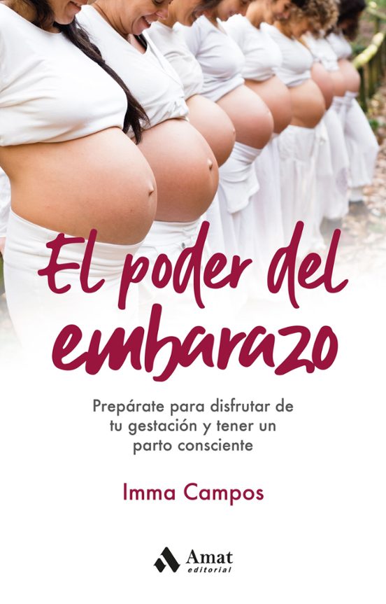 El Poder Del Embarazo: Preparate Para Disfrutar De Tu Gestion Y Tener