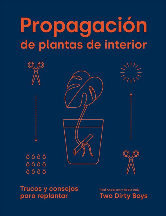 Propagación De Plantas De Interior