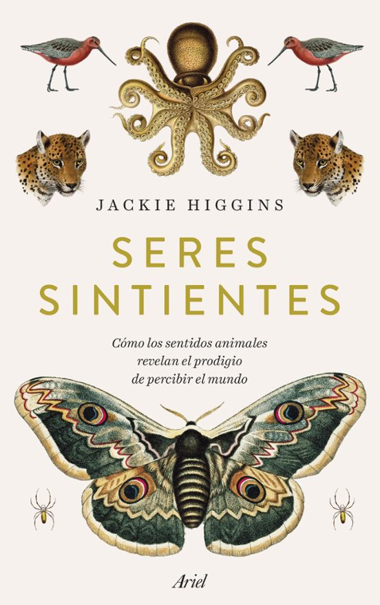 Seres Sintientes