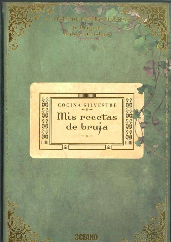 Cocina Silvestre: Mis Recetas De Bruja
