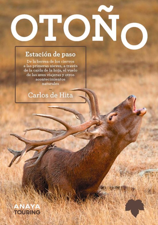 Otoño. Estacion De Paso