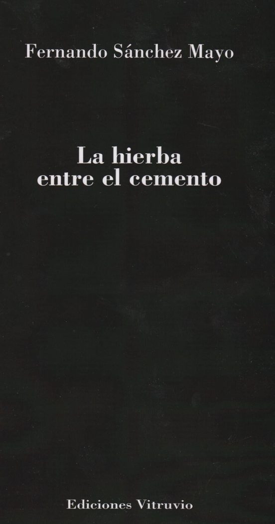 La Hierba Entre El Cemento