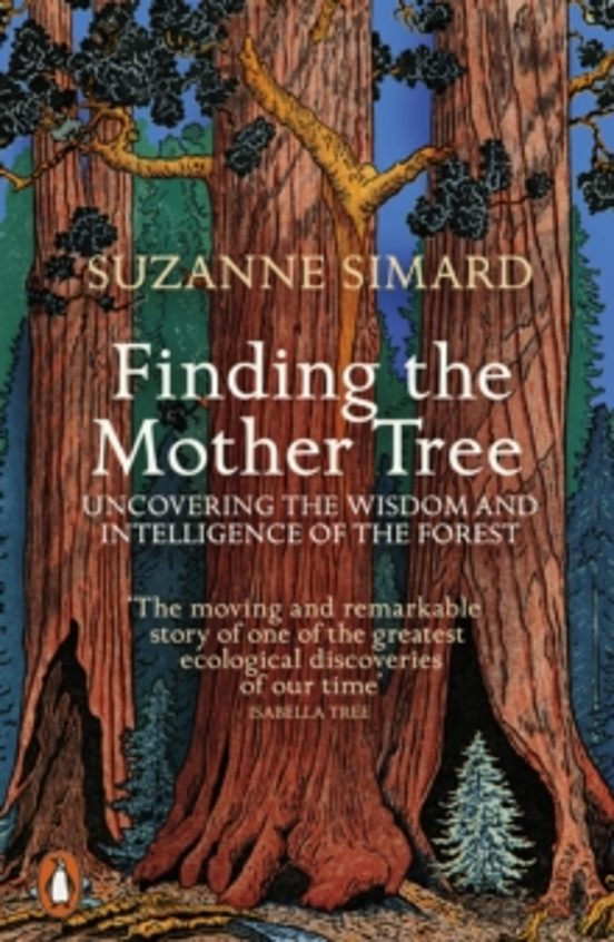 Finding The Mother Tree