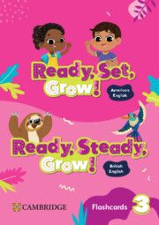 Ready Set Grow! Level 3 Flashcards American English