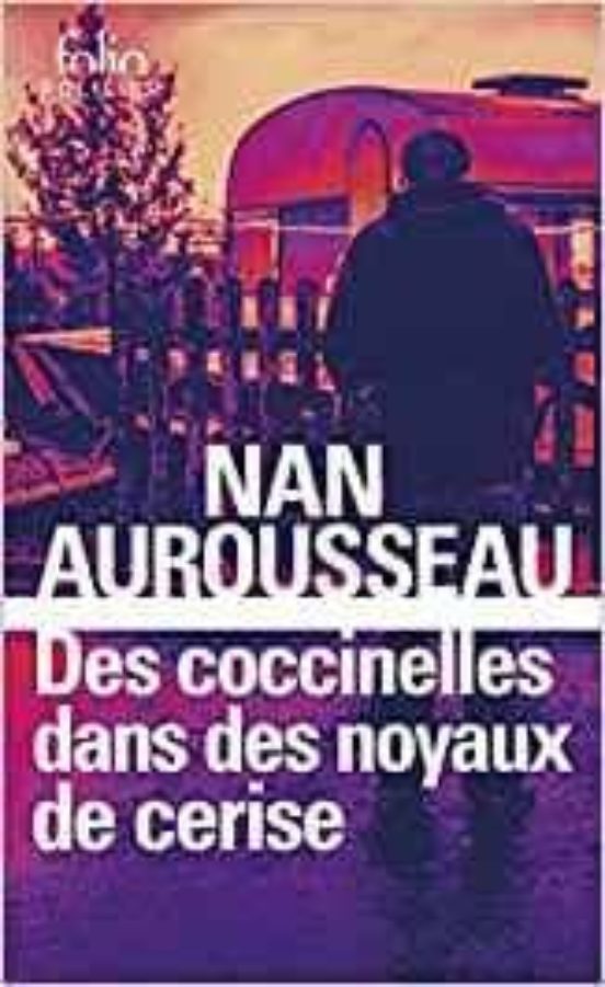 Des Coccinelles Dans Des Noyaux De Cerise