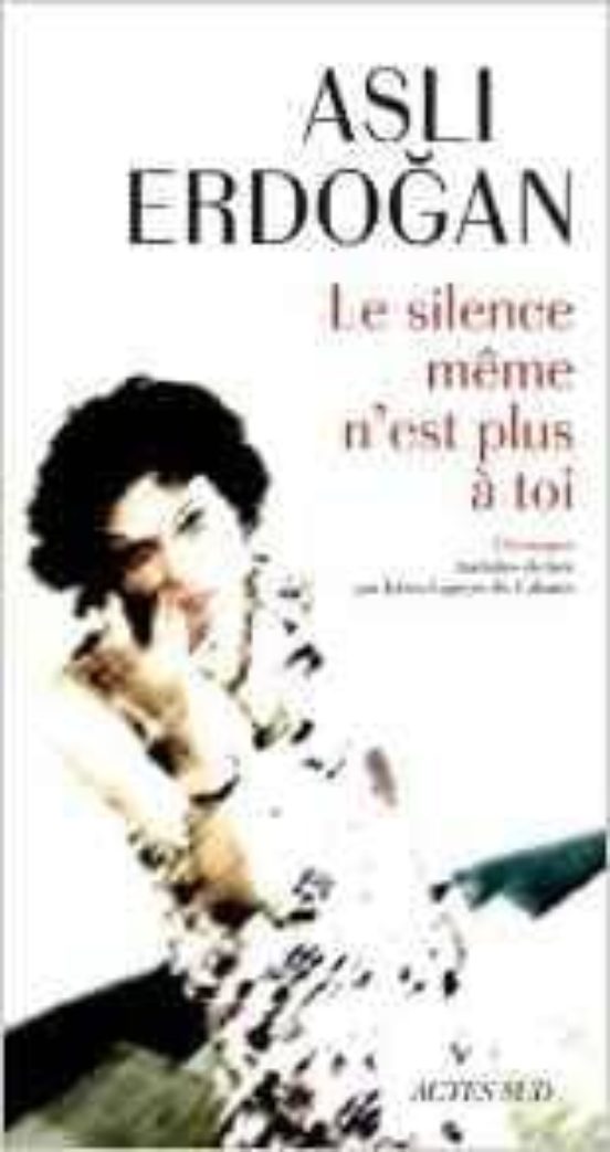 Le Silence Meme N Est Plus A Toi: Chroniques