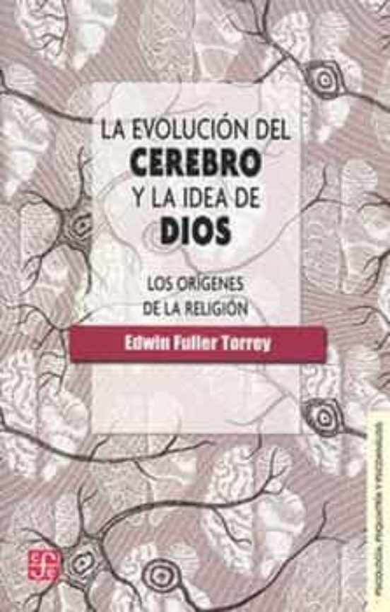 La Evolucion Del Cerebro Y La Idea De Dios