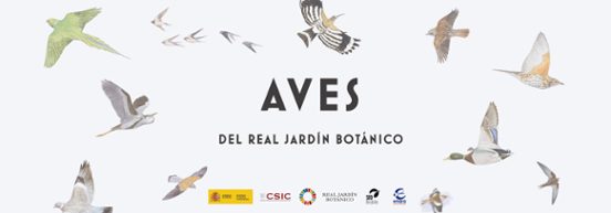 Aves Del Real Jardín Botánico
