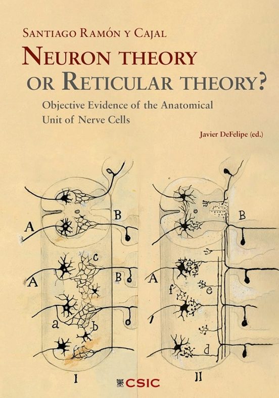 Neuron Theory Or Reticular Theory?