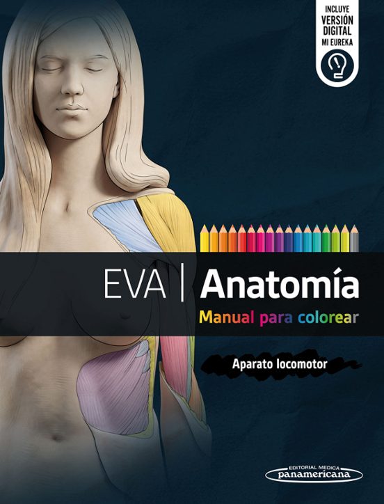 Eva Anatomía. Manual Para Colorear: Aparato Locomotor