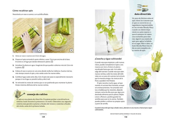 El Huerto En La Cocina: Residuo Cero. Recultiva Los Restos De Las Verd