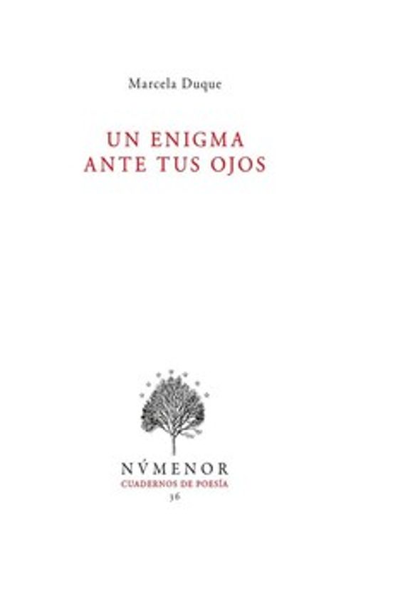Un enigma ante tus ojos