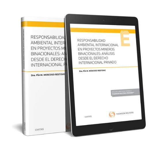 Responsabilidad Ambiental Internacional En Proyectos Mineros Binacionales: Ánalisis Desde El Derecho Internacional Privado