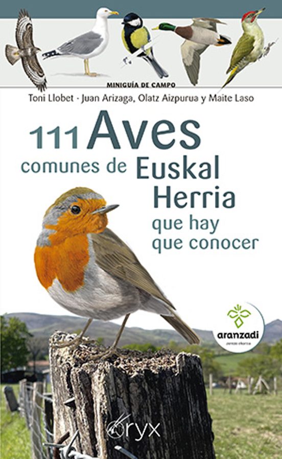 111 Aves Comunes De Euskal Herria Que Hay Que Conocer