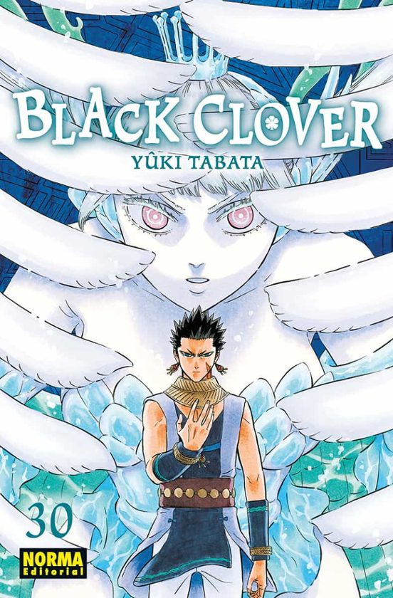 Black clover 30