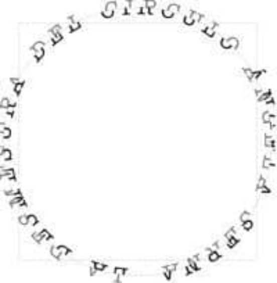 Desmesura Del Circulo = La Demesure Du Cercle