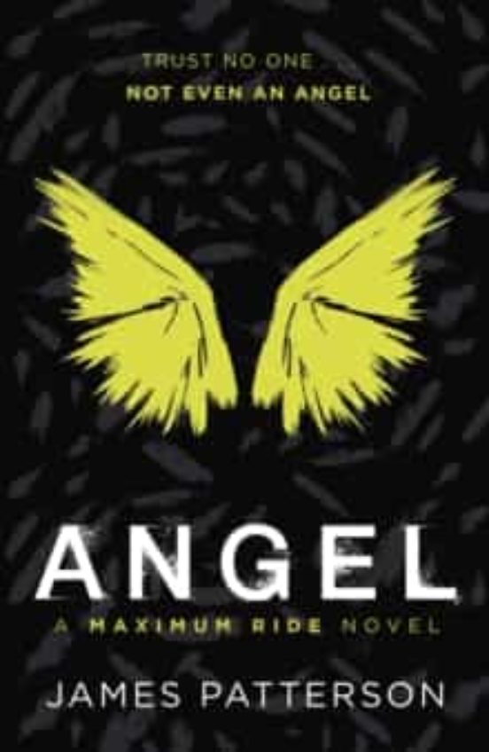 Angel: A Maximum Ride Novel
