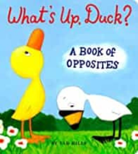 What S Up Duck?: A Book Of Opposites