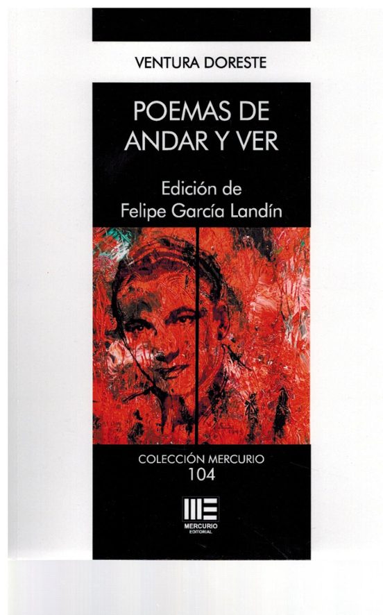 Poemas de Andar y Ver