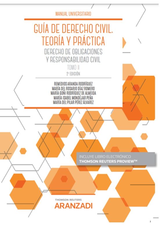Guía de Derecho Civil. Teoria y Práctica Tomo II 2ª Edicion