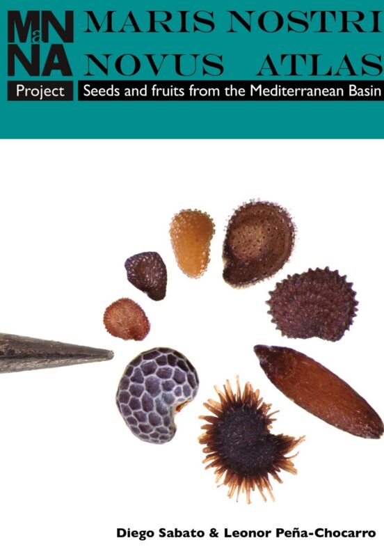 Maris Nostri Novus Atlas: Seeds and fruits from the Mediterranean Basin