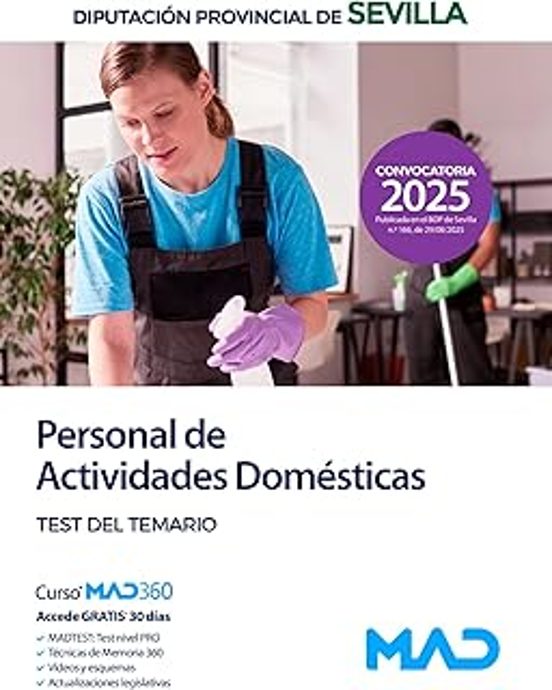 Personal De Actividades Domésticas De La Diputación Provincial De Sevi