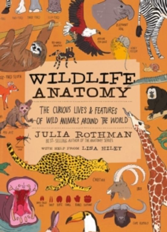 Wildlife Anatomy: The Curious Lives & Features Of Wild Animals Around