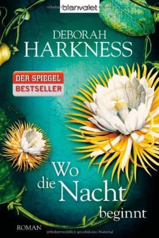 Wo Die Nacht Beginnt