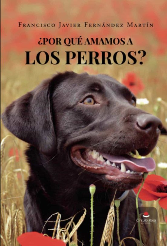 ¿Por Qué Amamos A Los Perros?