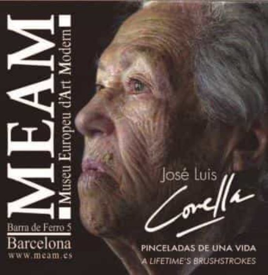 Pinceladas De Una Vida / A Lifetimes Brushstrokes