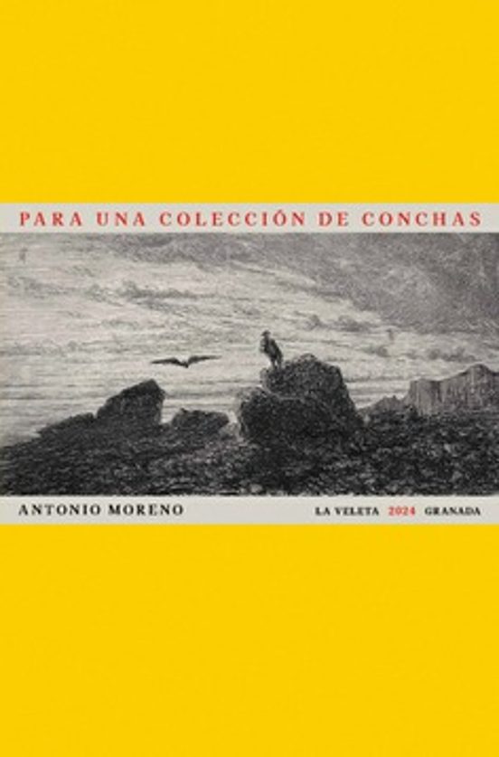 Para Una Colección De Conchas