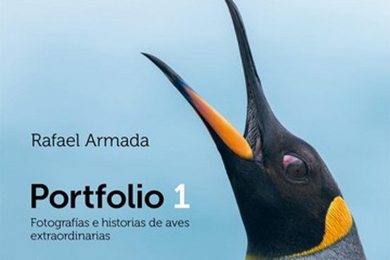 Portfolio 1