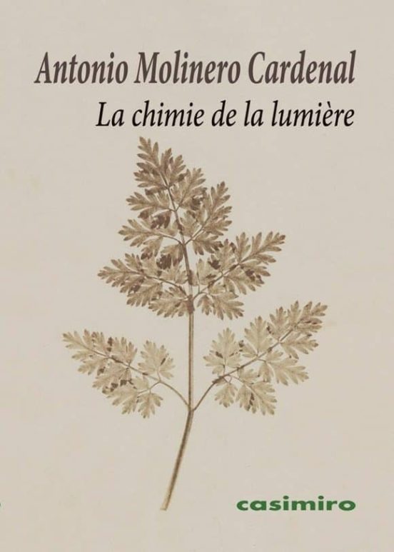 La Chimie De La Lumiere