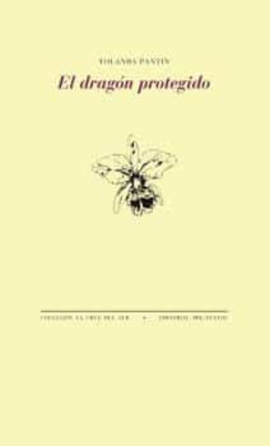 El Dragón Protegido