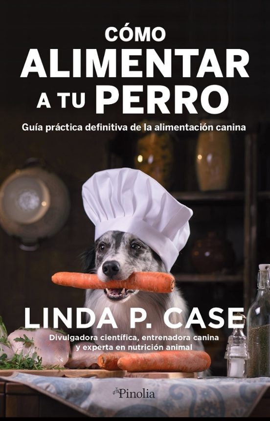 Cómo Alimentar A Tu Perro