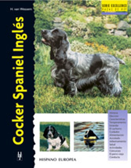 Cocker Spaniel Inglés