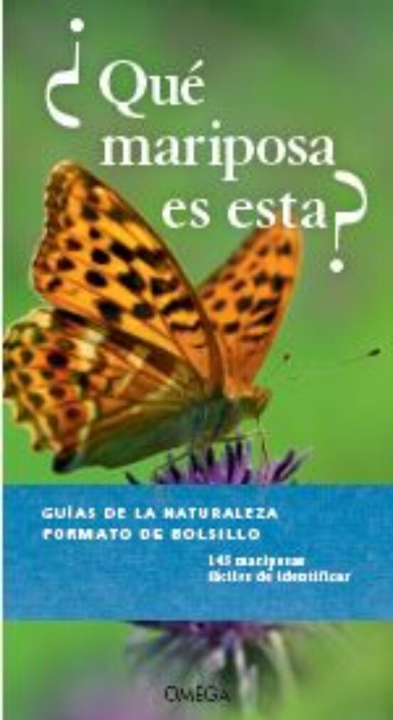 ¿que Mariposa Es Esta? - Guias De La Naturaleza