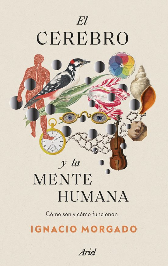 El Cerebro Y La Mente Humana: Como Son Y Como Funcionan