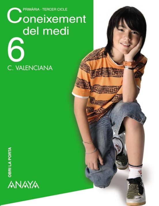 Projecte 2 les Eleccions
