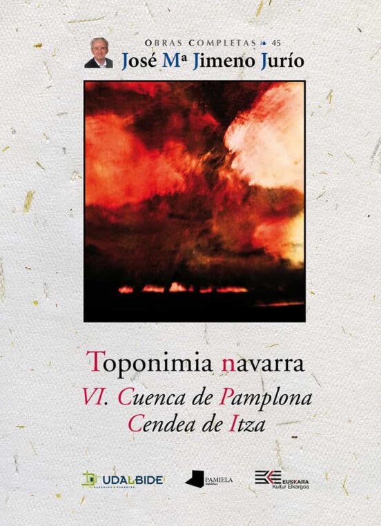 Toponimia De Navarra Tomo Vi: Cuenca De Pamplona