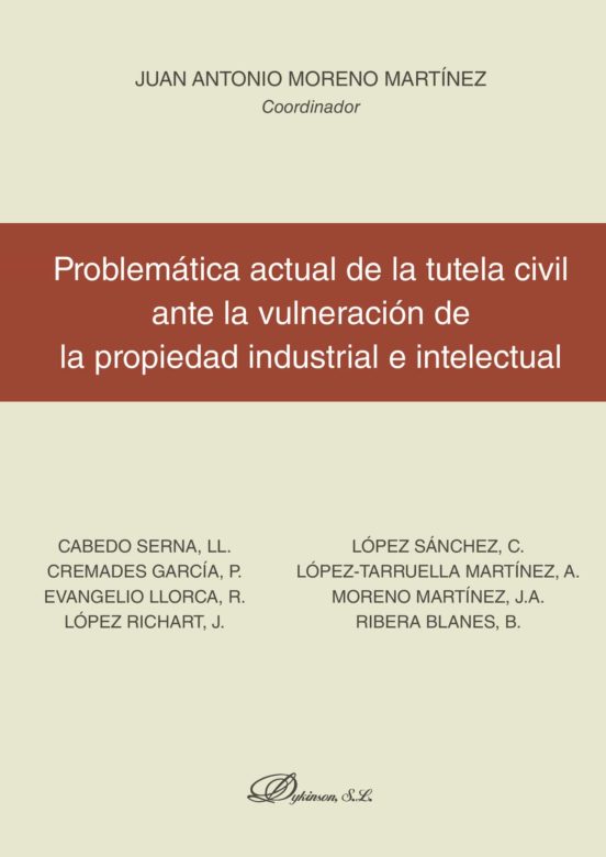 Problematica Actual De La Tutela Civil Ante La Vulneracion De La Propi