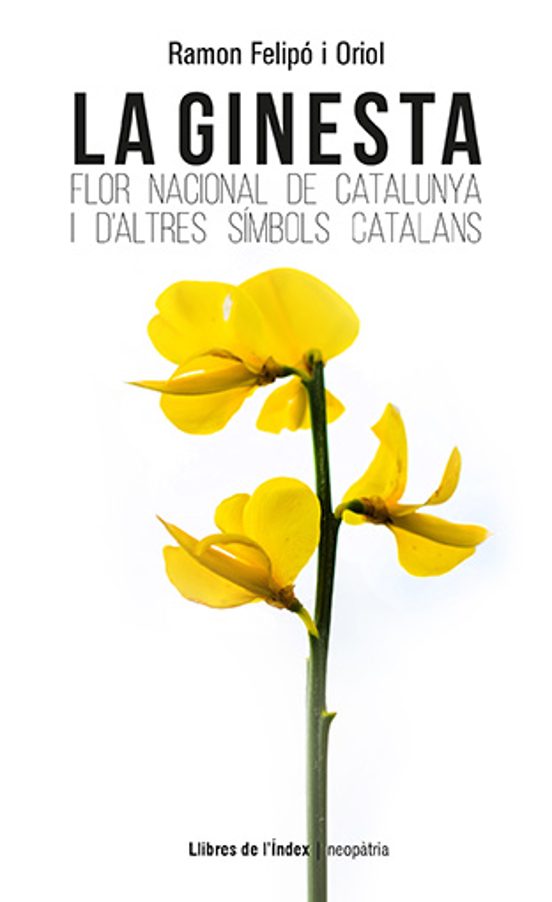 La Ginesta: Flor Nacional De Catalunya I D Altres Simbols Catalans