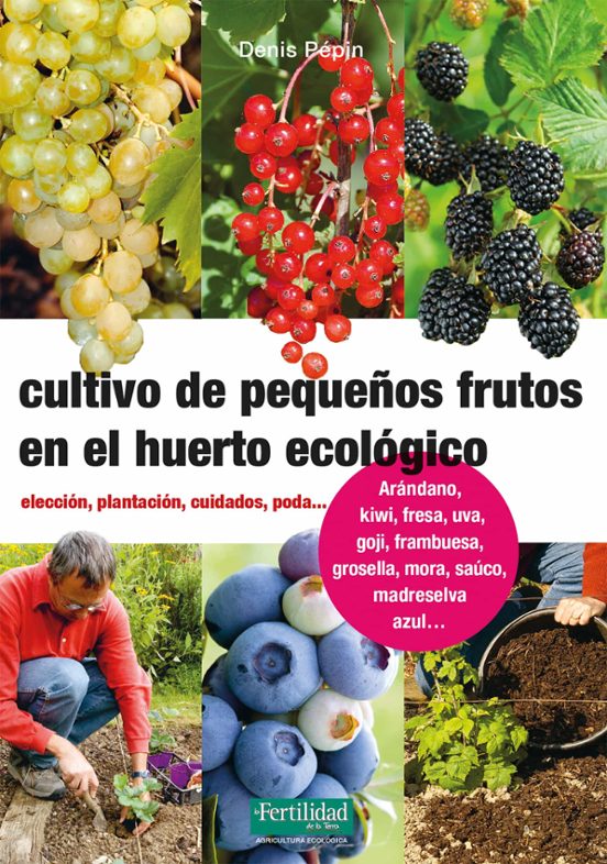 Cultivo De Pequeños Frutos En El Huerto Ecológico. Elección Plan Tació