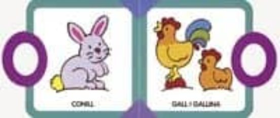 Animals