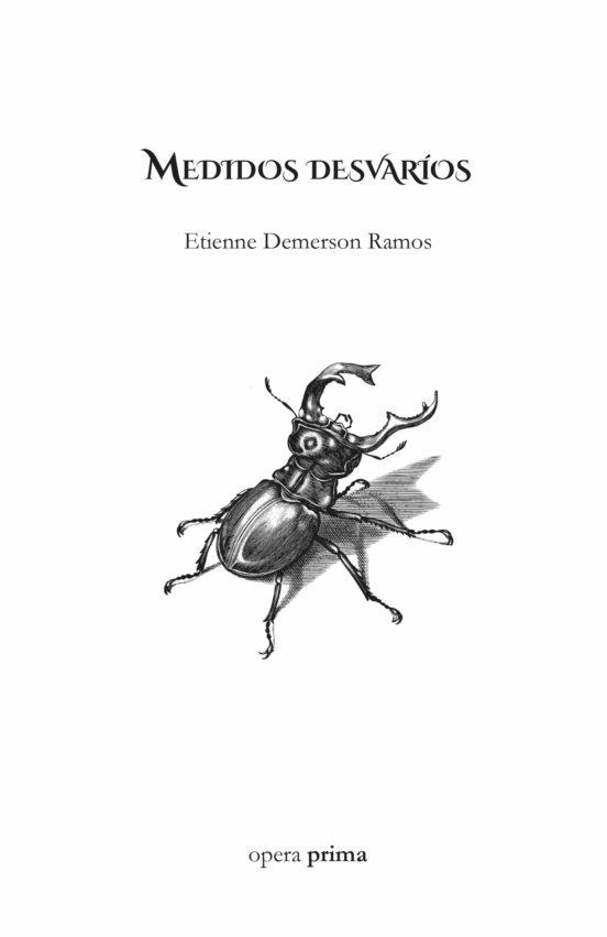 Medidos Desvaríos