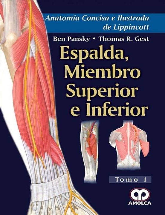 Anatomia Concisa E Ilustrada De Lippincott Vol. 1: Espalda Miembro Sup