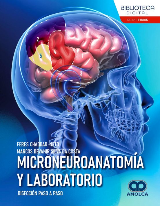 Microneuroanatomía y laboratorio. Disección paso a paso
